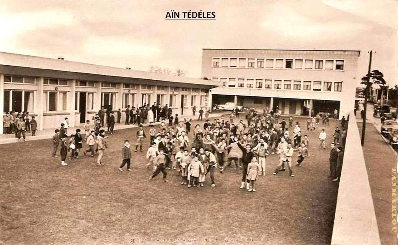 Ain Tedeles 520.jpg